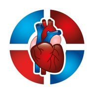Cardiology Design N29