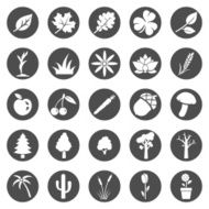 Vector Set of Plants Icons N12