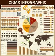 Cigars Infographic Elements