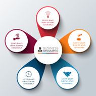 Vector circle infographic N81
