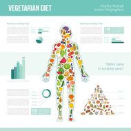 Vegetarian eating infographics N2