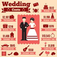 Wedding cost infographic