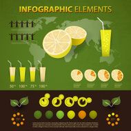 Vector Set of Infographic Elements N13