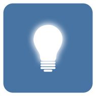 Electric Light Bulb N5