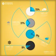 abstract pie chart infographics N30