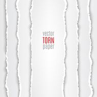 White torn paper