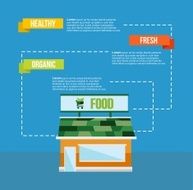 Organic food concept infograhics template N2