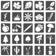 Vector Set of Plants Icons N14