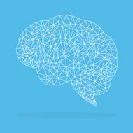Brain Polygonal vector N4