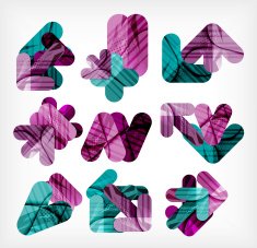 Collection of infographic option layouts N20