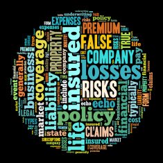 insurance word cloud N2