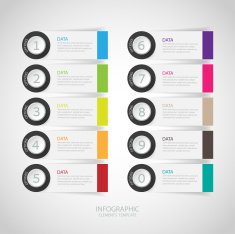 infographics options banner Vector illustration