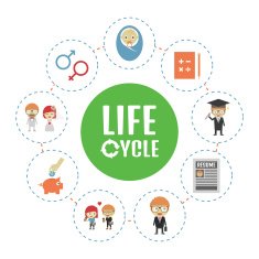 Life Cycle N4