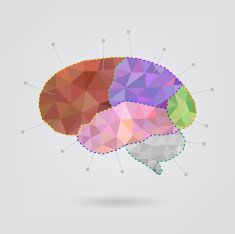 Brain concept creative triangle style v 1