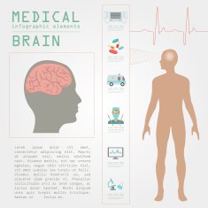 Medical and healthcare infographic N69