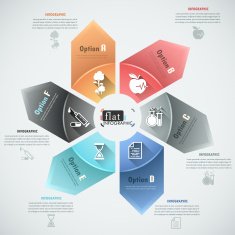 Flat infographics options banner N5
