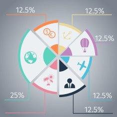 Travel infographic template pie chart N2