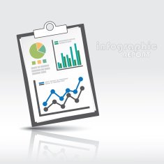 Infographic Report N2
