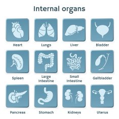 Blue icon set with internal orangs for medicine infographic N2