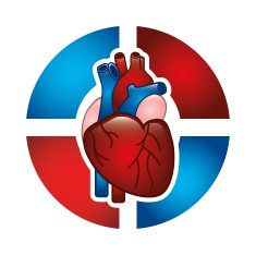 Cardiology Design N29
