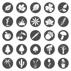 Vector Set of Plants Icons N12