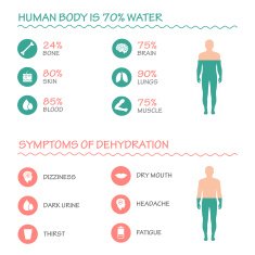 infographic illustration drink water N2