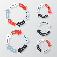 Modern vector info graphic for business project N300
