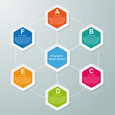 Abstract hexagon infographics template N14