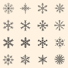 Vector Set of Snowflakes Icons N5