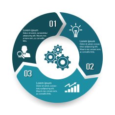 Circle infographic label three option colorful design