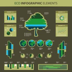 Vector Set of Infographic Elements N12