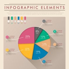 abstract pie chart infographics N29
