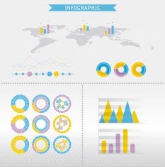 Infographic vector graphs and elements N13