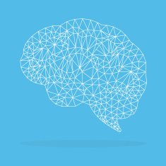 Brain Polygonal vector N4