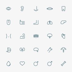 25 human organ minimal line icons