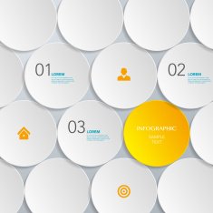 Infographic design template N212