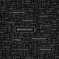 Branding N11