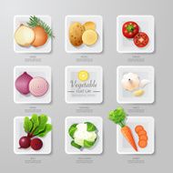 Infographic food vegetables flat lay idea Vector illustration N2