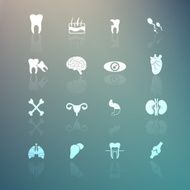 Body Icons set on Retina background
