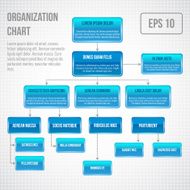 Organizational chart infographic N6