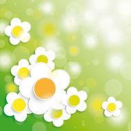 Easter Card Background Big White Flowers N2