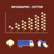 cotton infographic