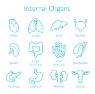 Set of contour icons with human orangs