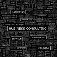 Business Consulting N2