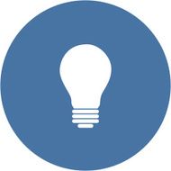 Electric Light Bulb N7