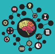 Human resources of brain Functions and analytical thinking N2