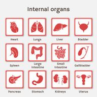 Set of icons with human orangs for medicine infographic