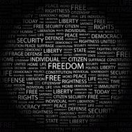 Freedom N14