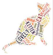 Colourful Cat Word Cloud