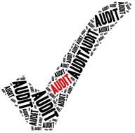 Audit or corporate controlling concept N2